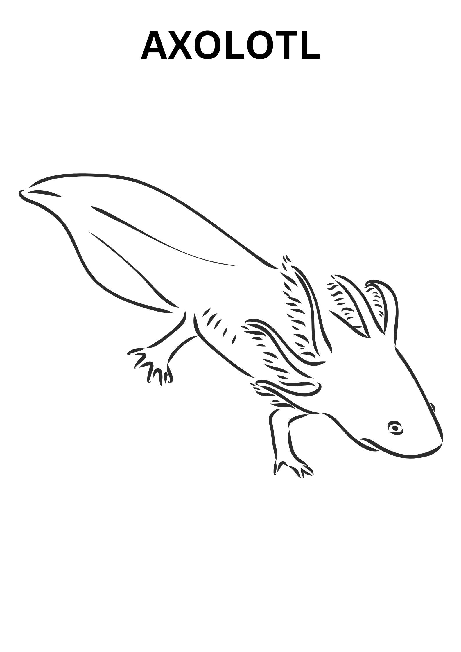 Axolotl Coloring Pages For Kids