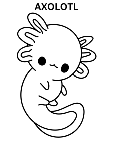 Baby Axolotl Coloring Pages