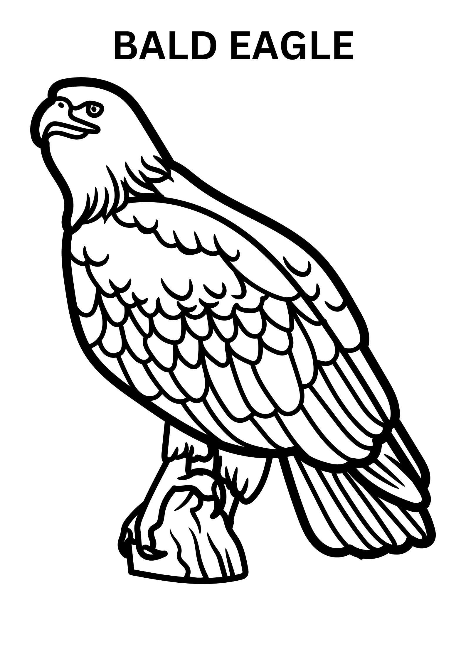 Bald Eagle Coloring Pages For Adults