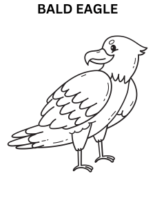 Bald Eagle Coloring Pages For Kindergarten