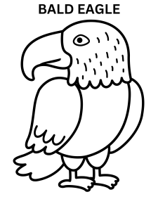 Bald Eagle Coloring Pages For Preschoolers