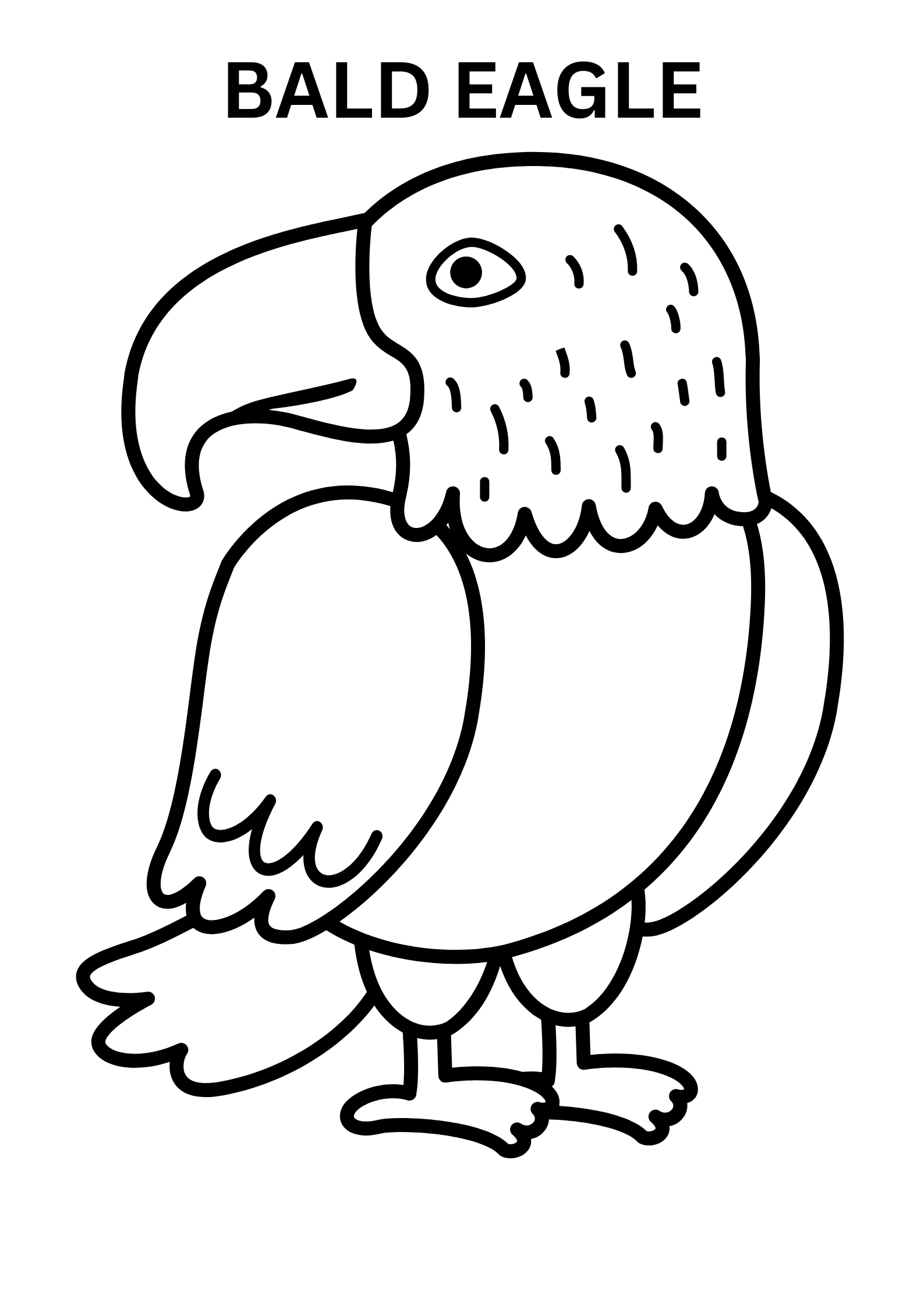 Bald Eagle Coloring Pages For Preschoolers