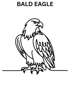Bald Eagle Images To Color Online