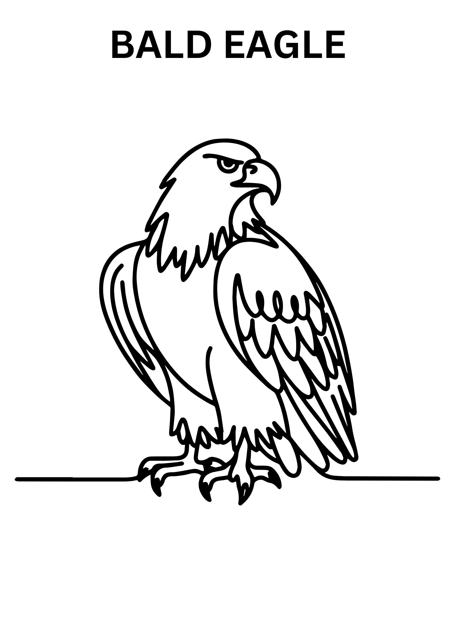 Bald Eagle Images To Color Online