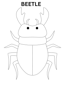 Beetle Connect The Dots Online