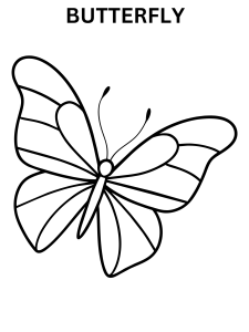 Big Butterfly Coloring Pages