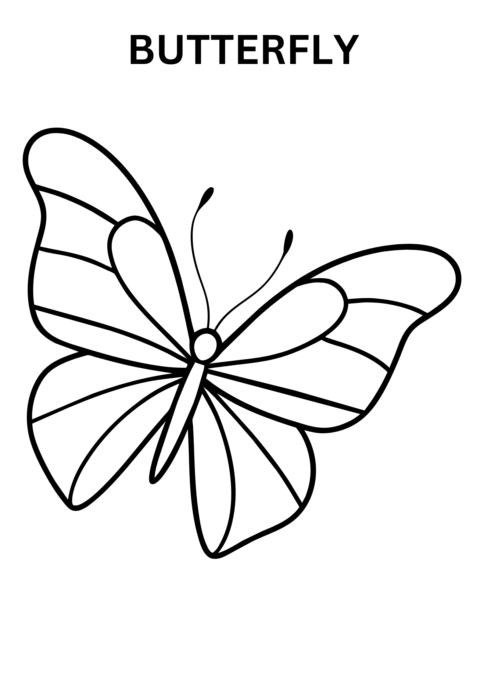 Big Butterfly Coloring Pages