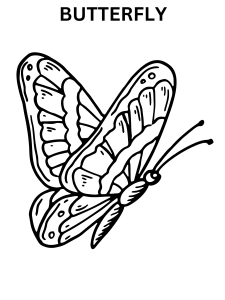 Butterfly Coloring Pages For Adults