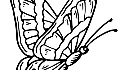 Butterfly Coloring Pages For Adults