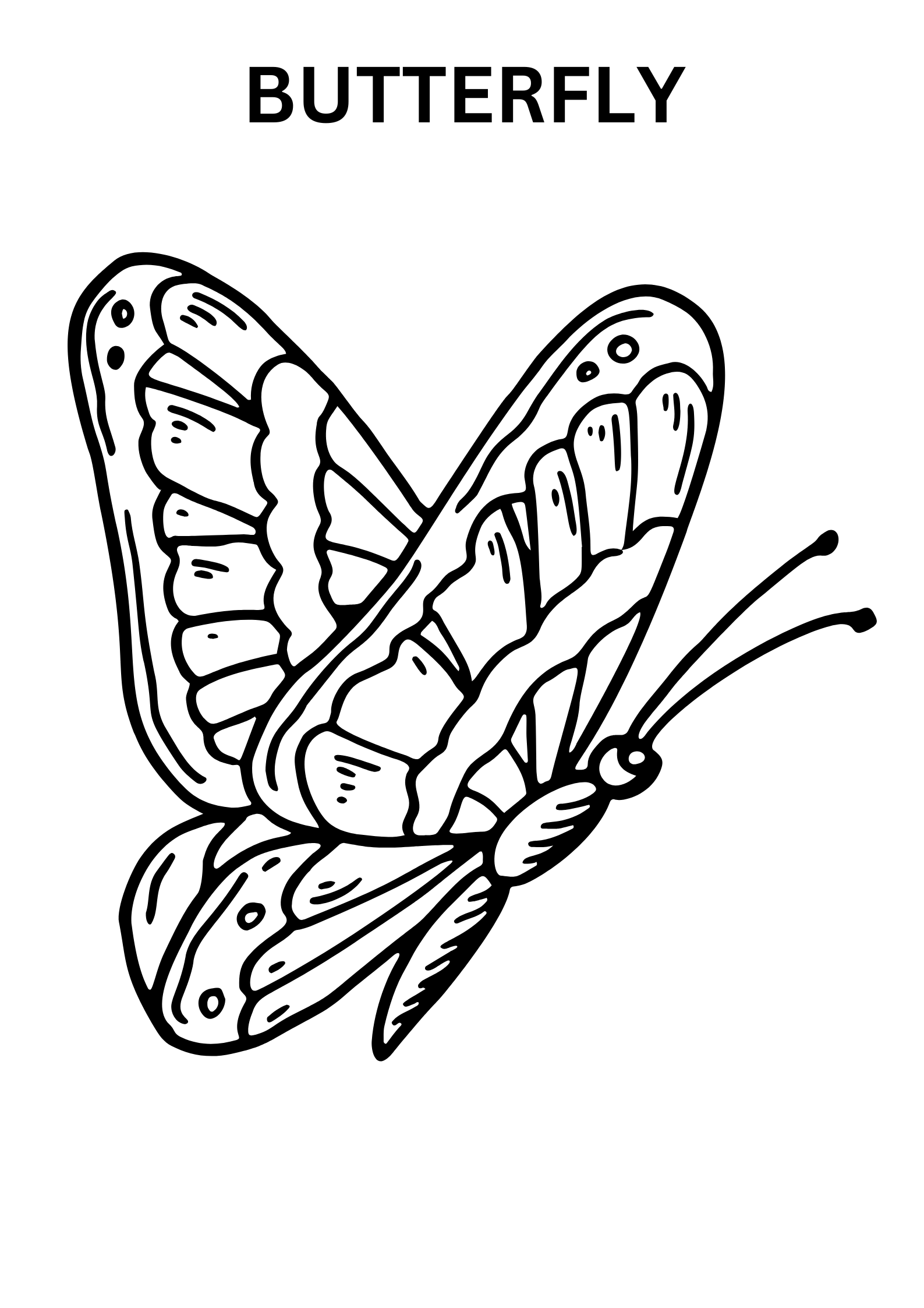 Butterfly Coloring Pages For Adults