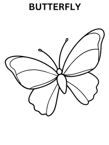 Butterfly Image To Color Online