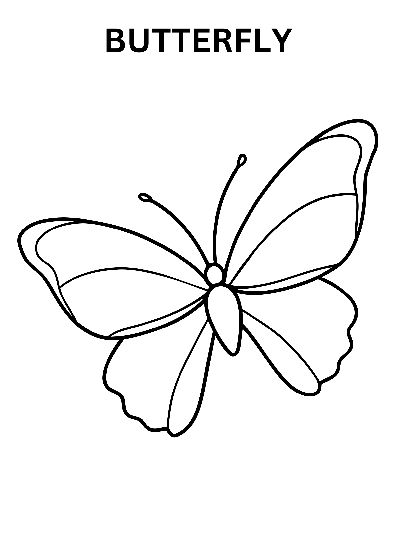 Butterfly Image To Color Online