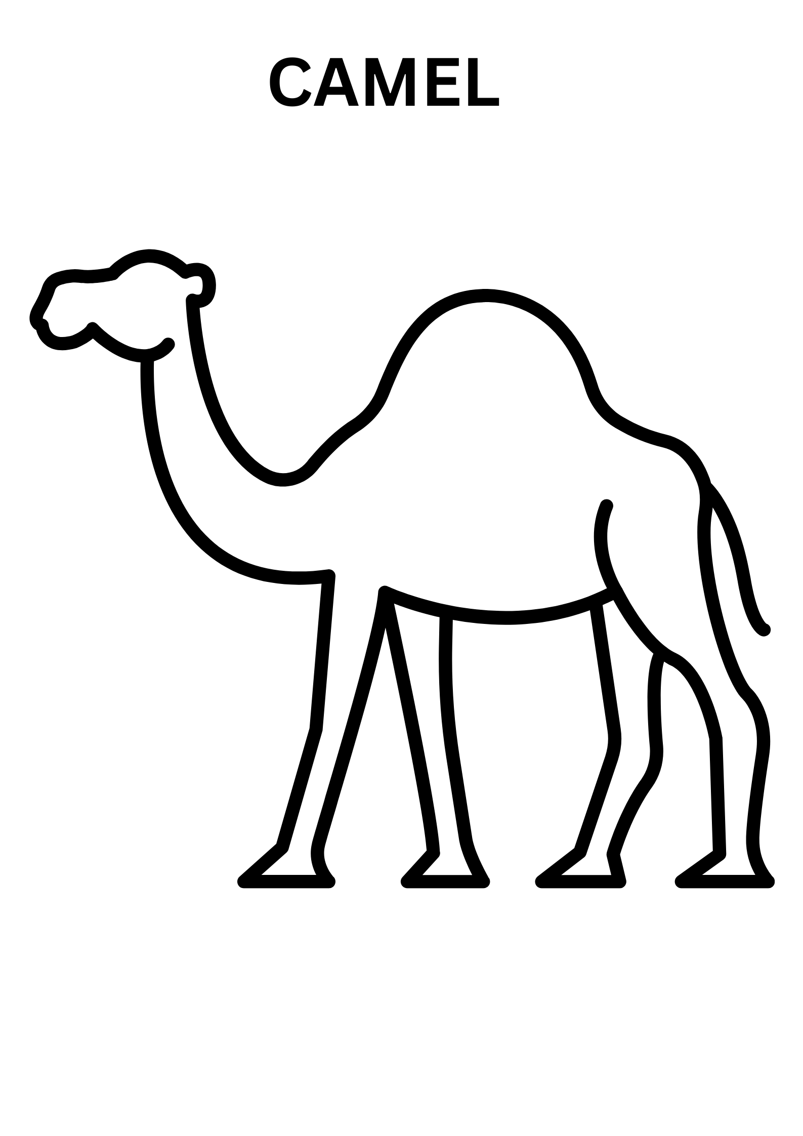 Camel Coloring Pages For Toddlers