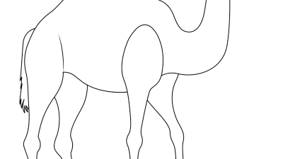 Camel Colouring Sheets Online