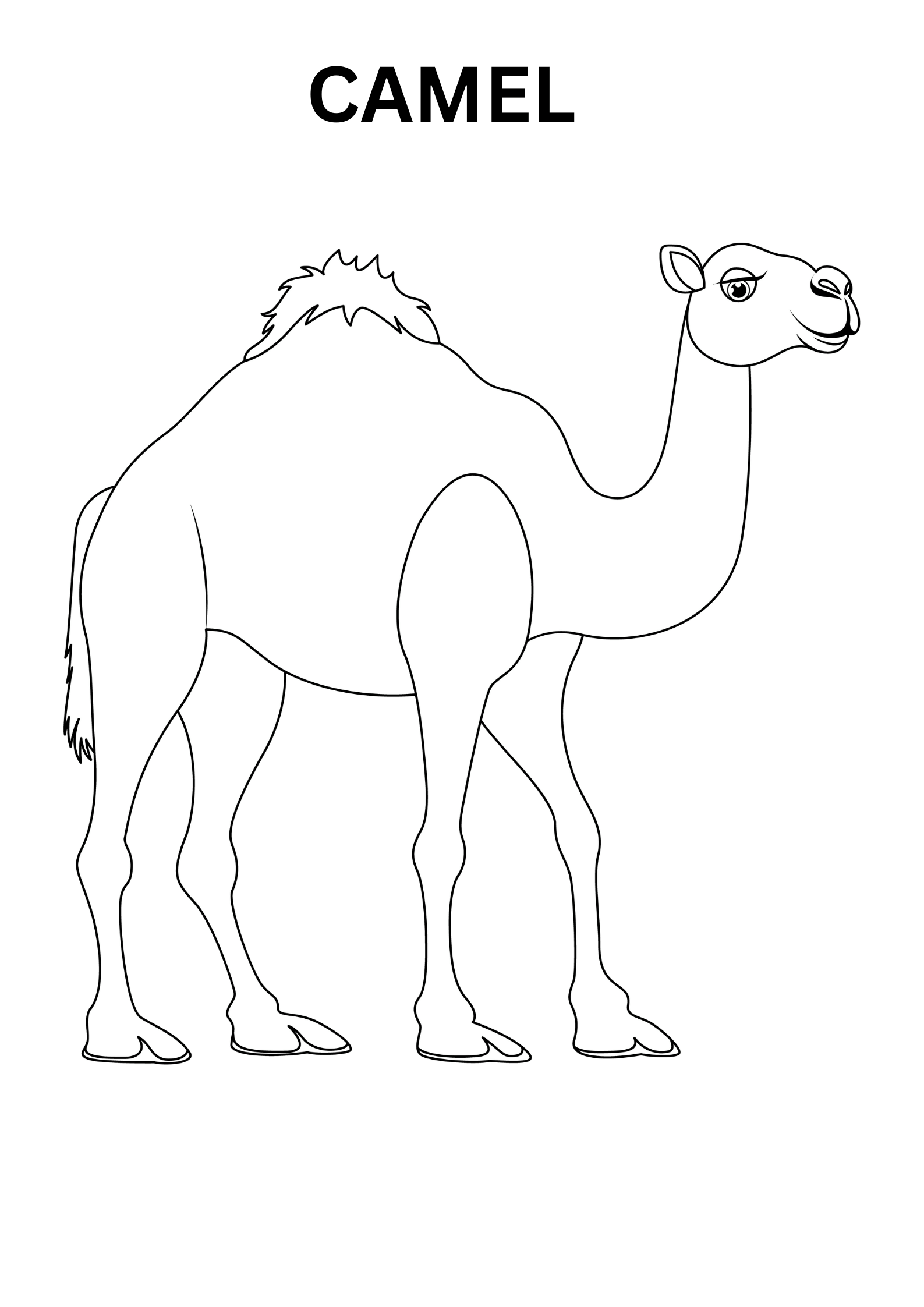 Camel Colouring Sheets Online