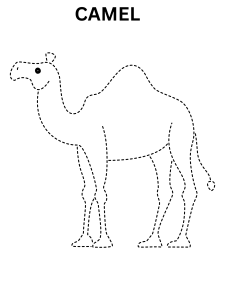 Camel Connect The Dots Online