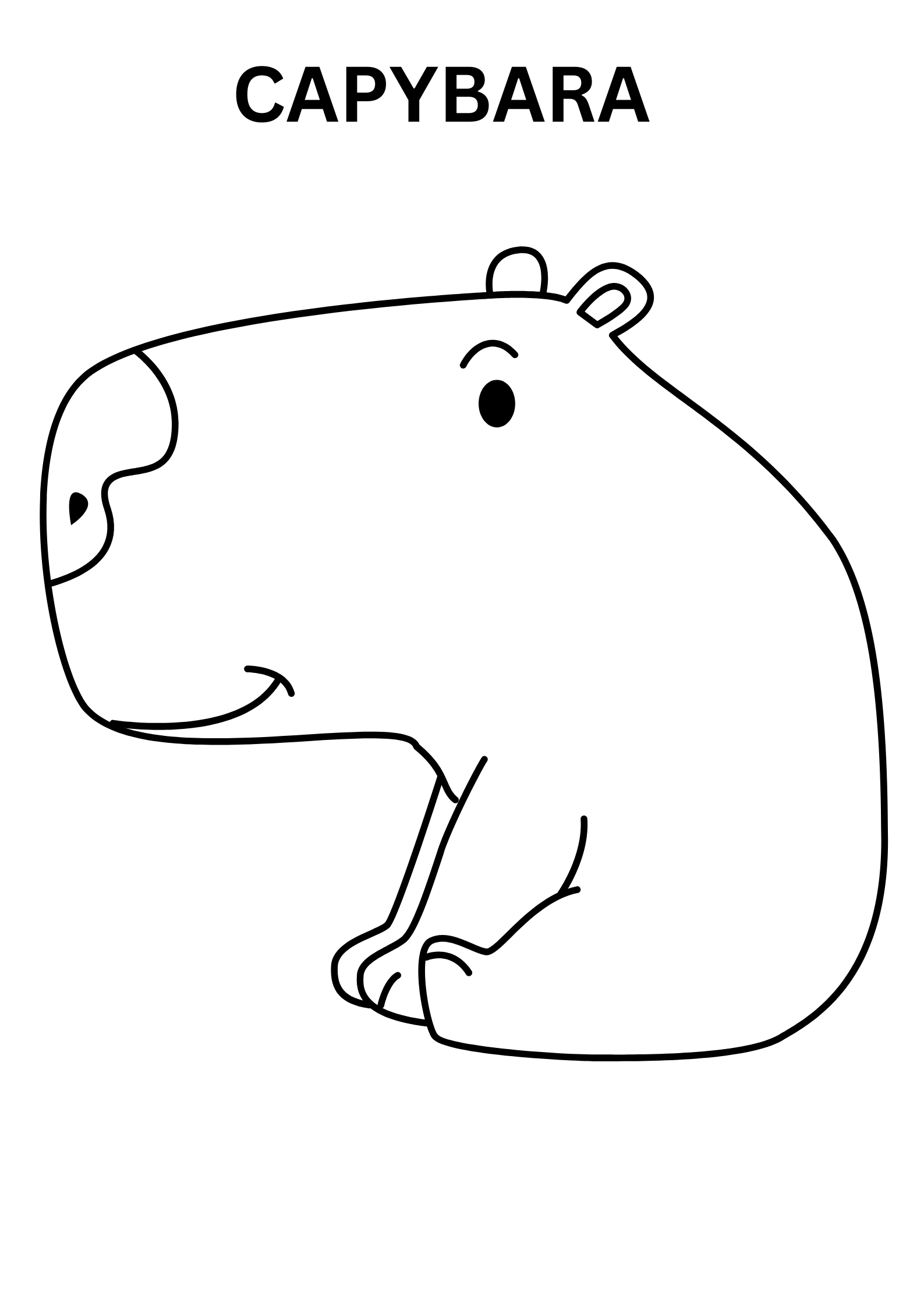 Cartoon Capybara Coloring Pages