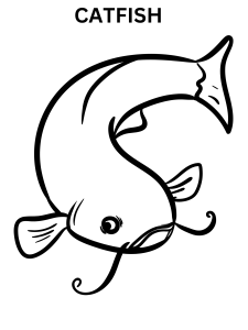 Catfish Image To Color Online