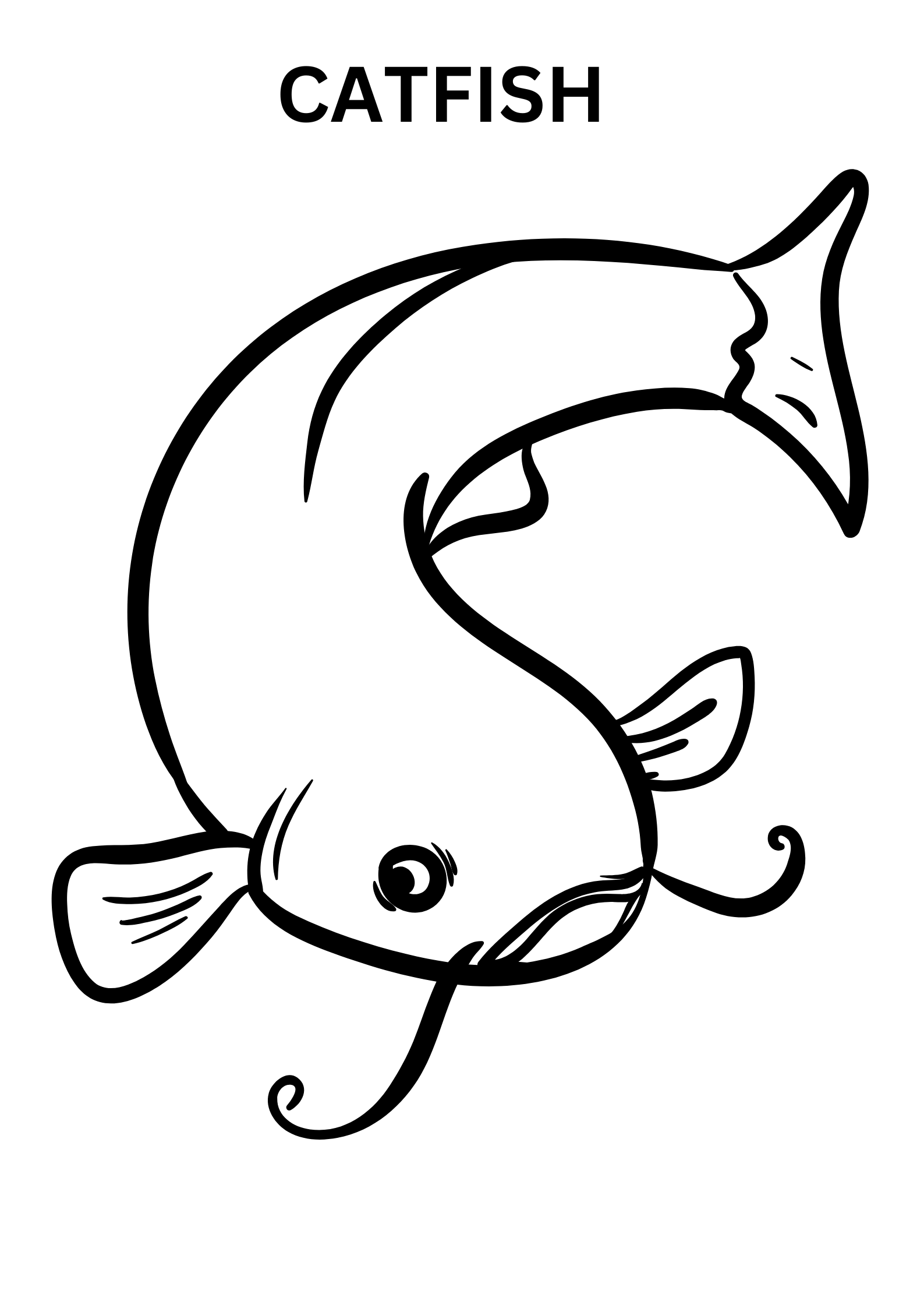 Catfish Image To Color Online