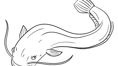 Catfish Printable Coloring Pages