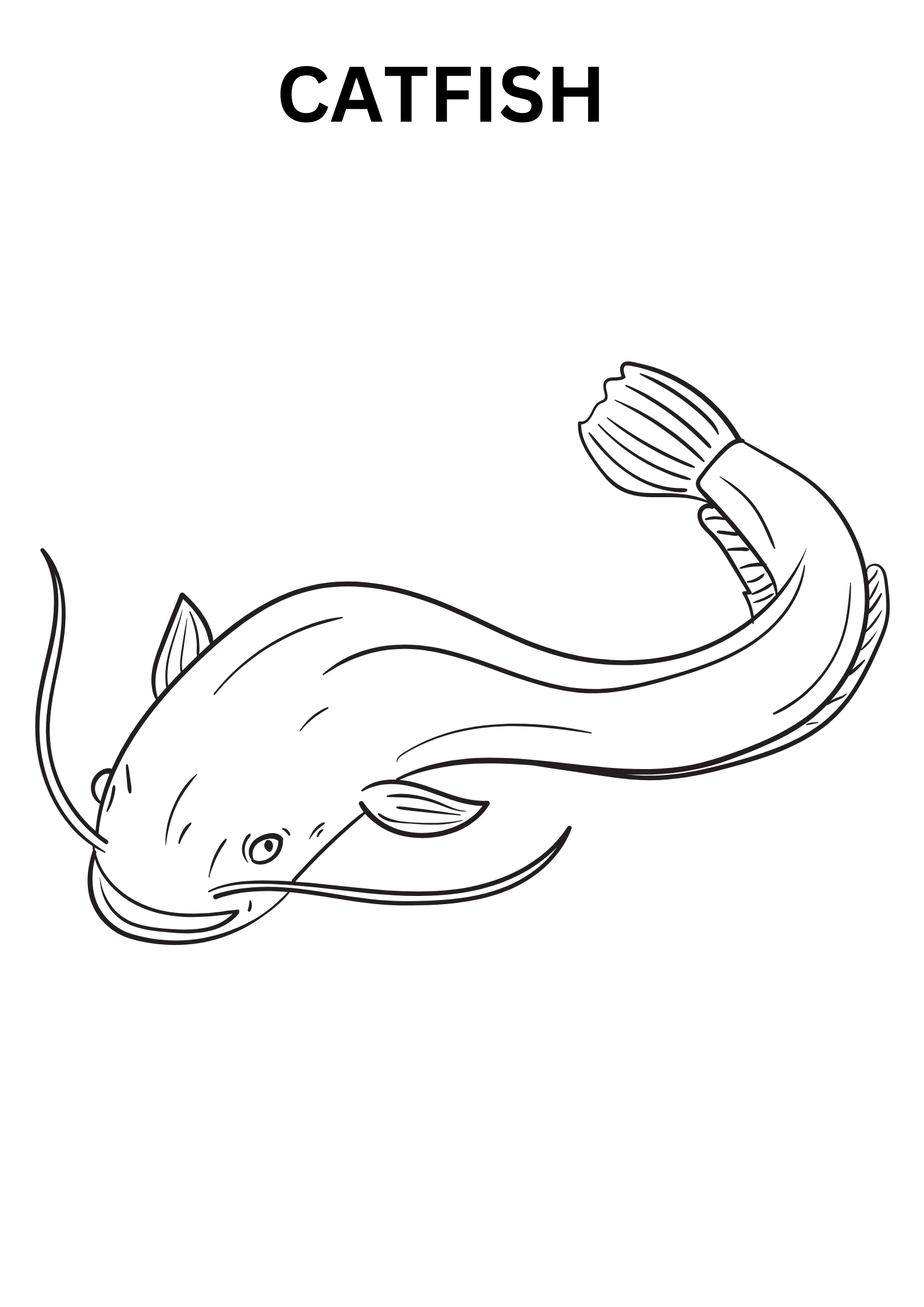 Catfish Printable Coloring Pages