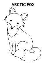 Cute Arctic Fox Coloring Pages
