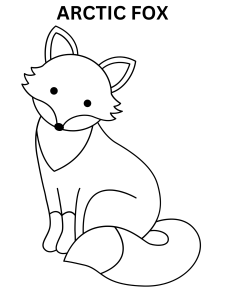 Cute Arctic Fox Coloring Pages