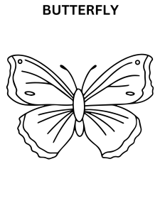 Cute Butterfly Coloring Pages