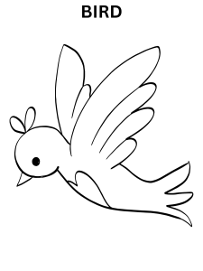Cute Bird Coloring Pages For Kindergarten