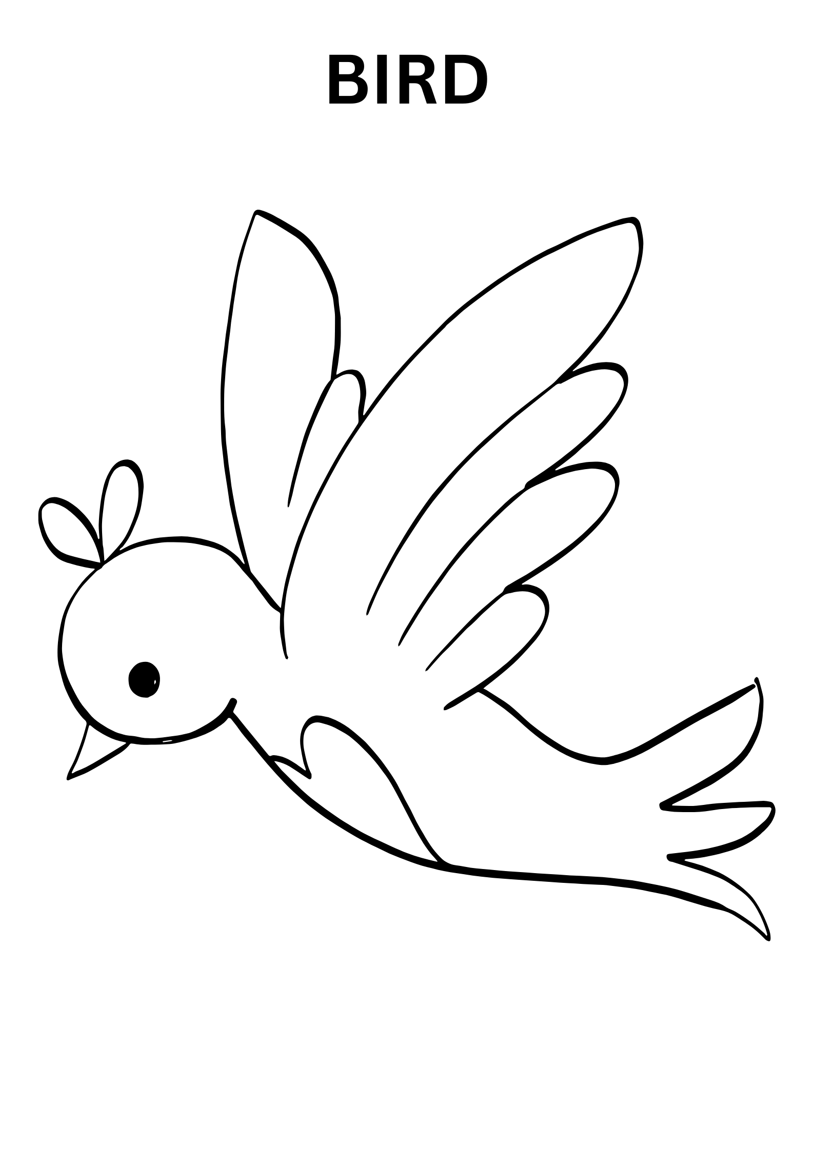 Cute bird coloring pages for kindergarten