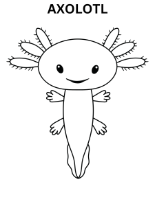 Easy Axolotl Coloring Pages