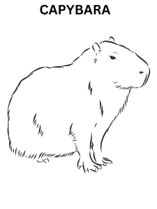Easy Capybara Coloring Pages