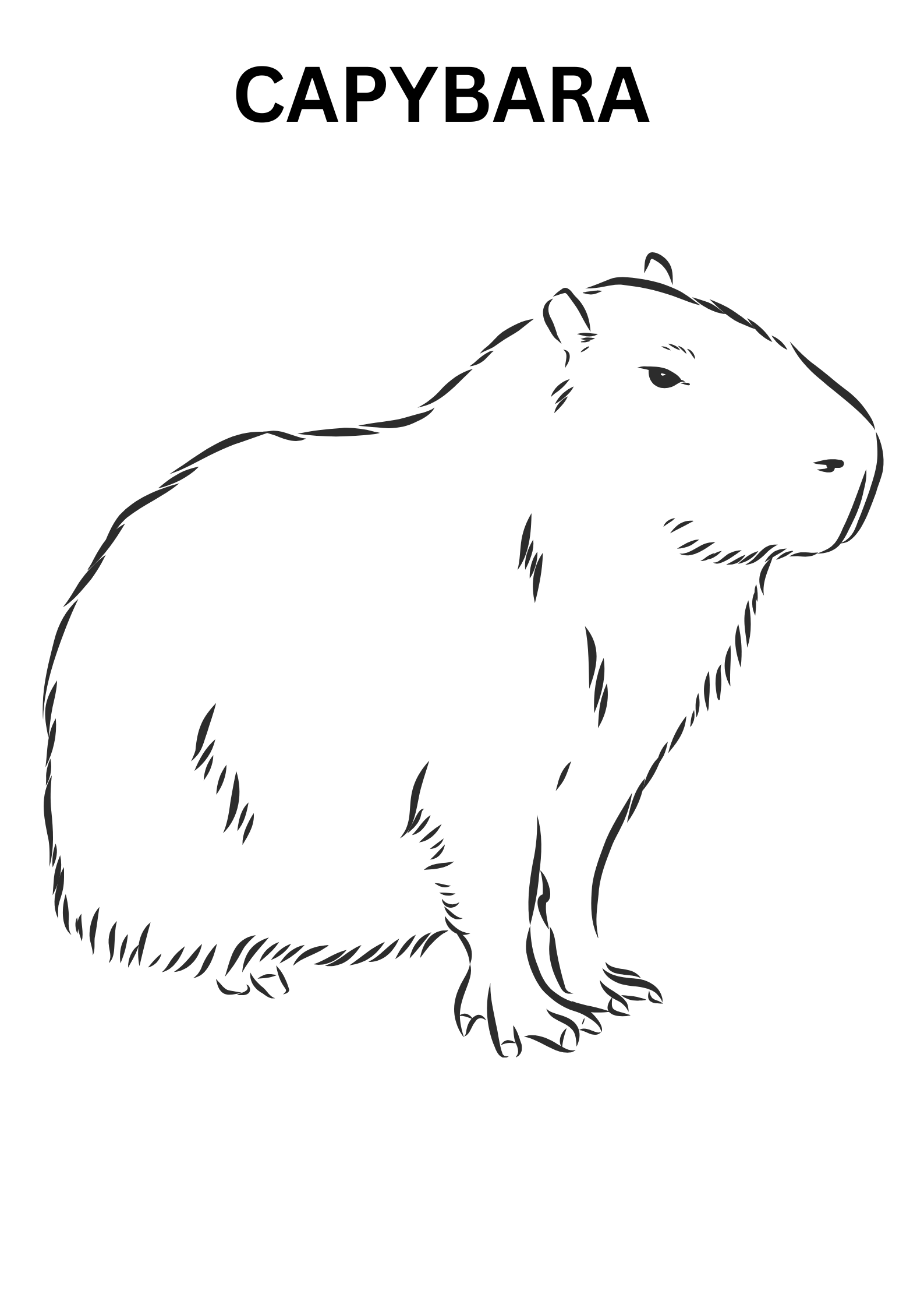 Easy Capybara Coloring Pages