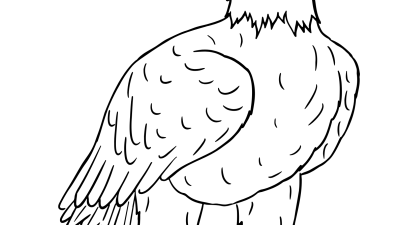 Ferocious Bald Eagle Coloring Pages