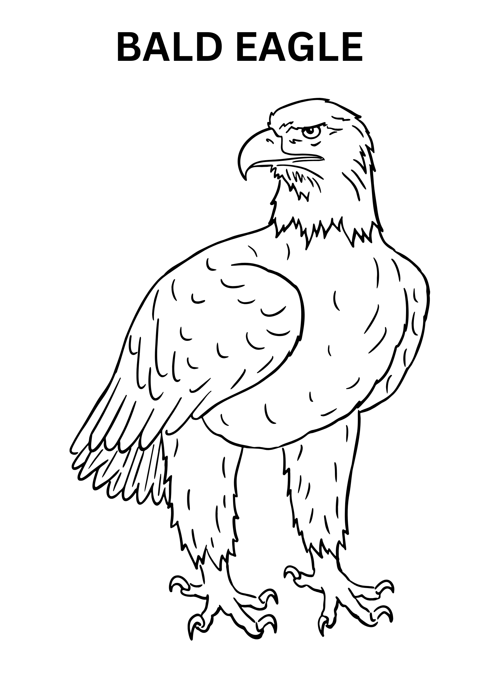 Ferocious Bald Eagle Coloring Pages