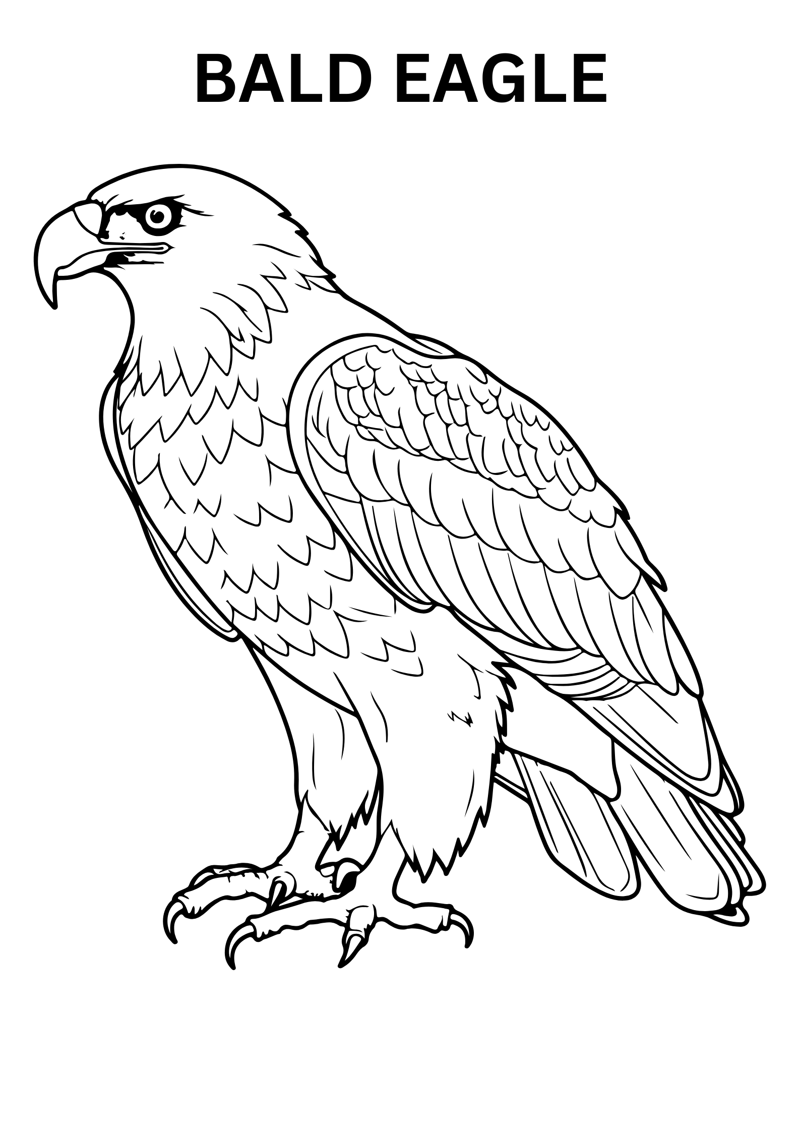 Free Bald Eagle Coloring Pages Online