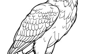 Free Printable Bald Eagle Coloring Pages