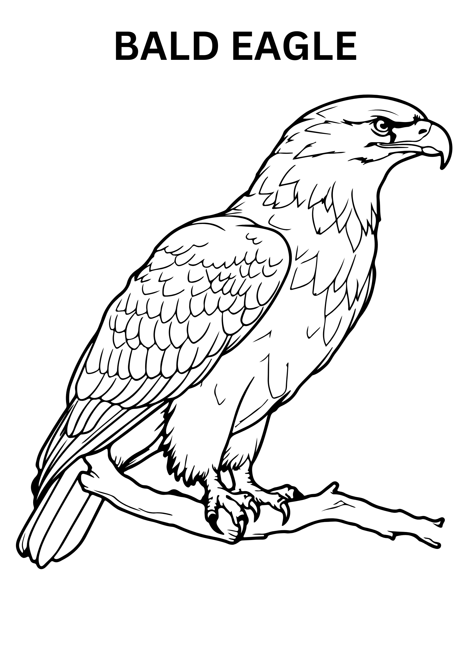 Free Printable Bald Eagle Coloring Pages