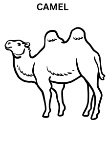 Free Printable Camel Coloring Pages