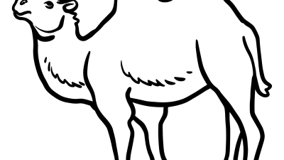 Free Printable Camel Coloring Pages