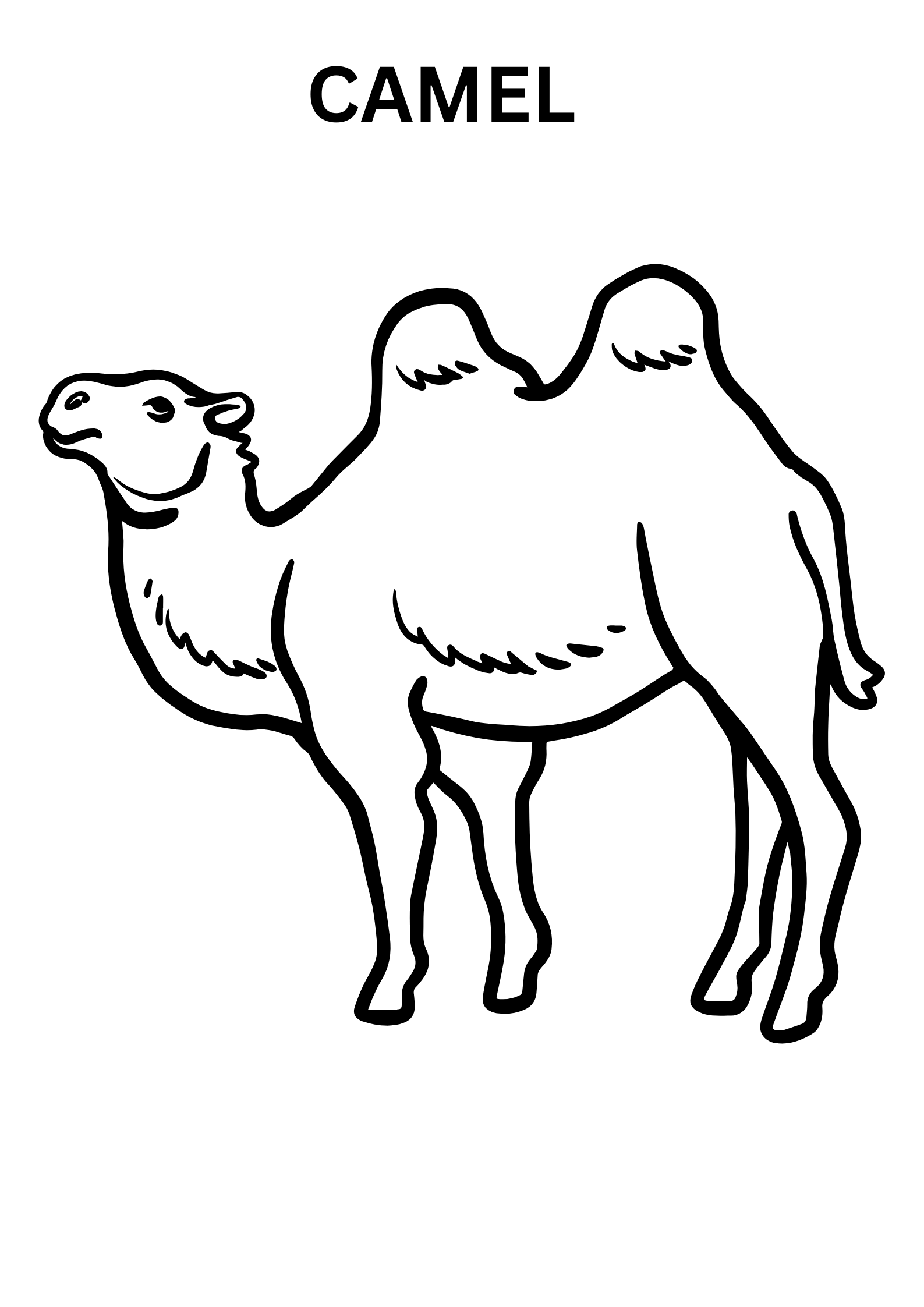 Free Printable Camel Coloring Pages