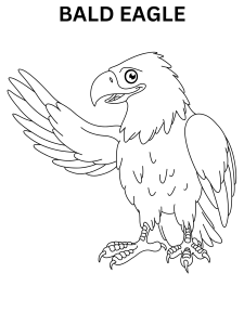 Friendly Bald Eagle Coloring Pages