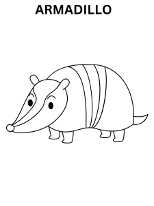 Online Armadillo Coloring Pages