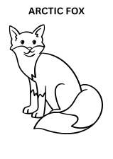 Printable Arctic Fox Coloring Pages