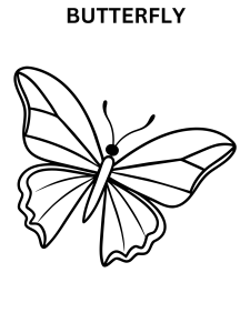 Printable Butterfly Coloring Pages For Kids