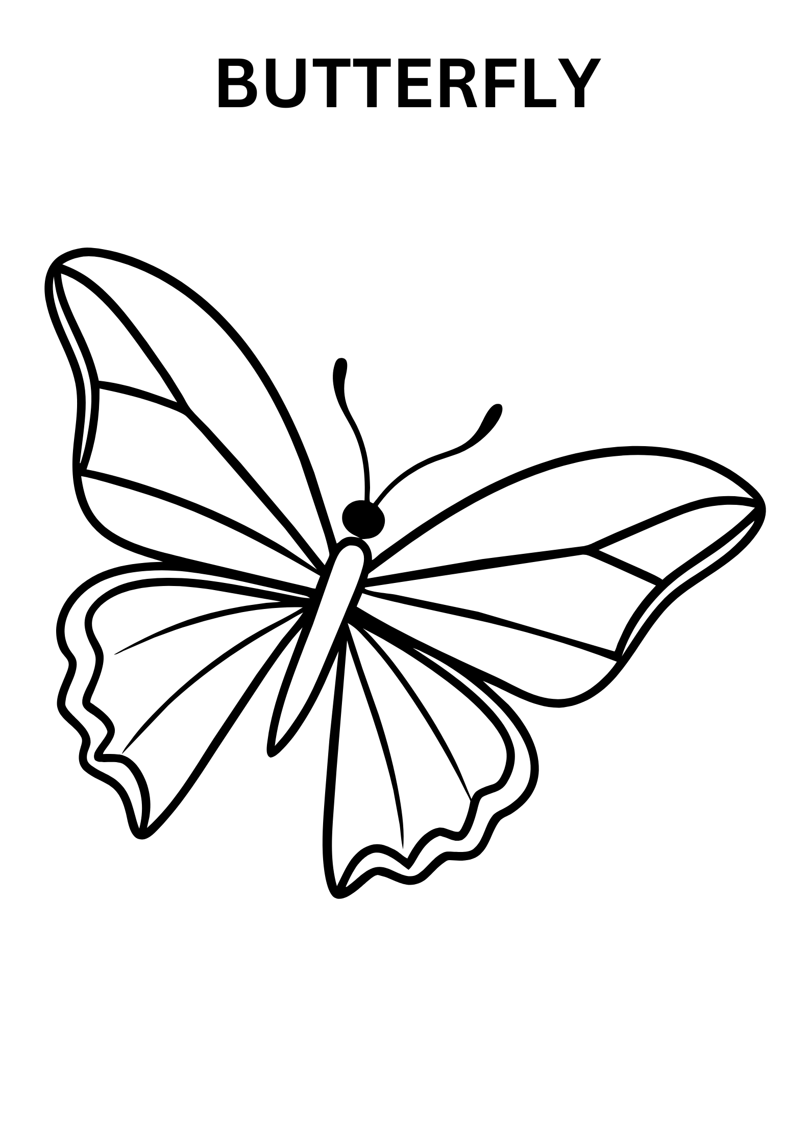 Printable Butterfly Coloring Pages For Kids