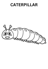 Printable Caterpillar Coloring Pages For Kindergarten