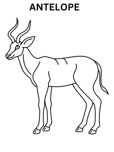 Realistic Antelope Coloring Pages