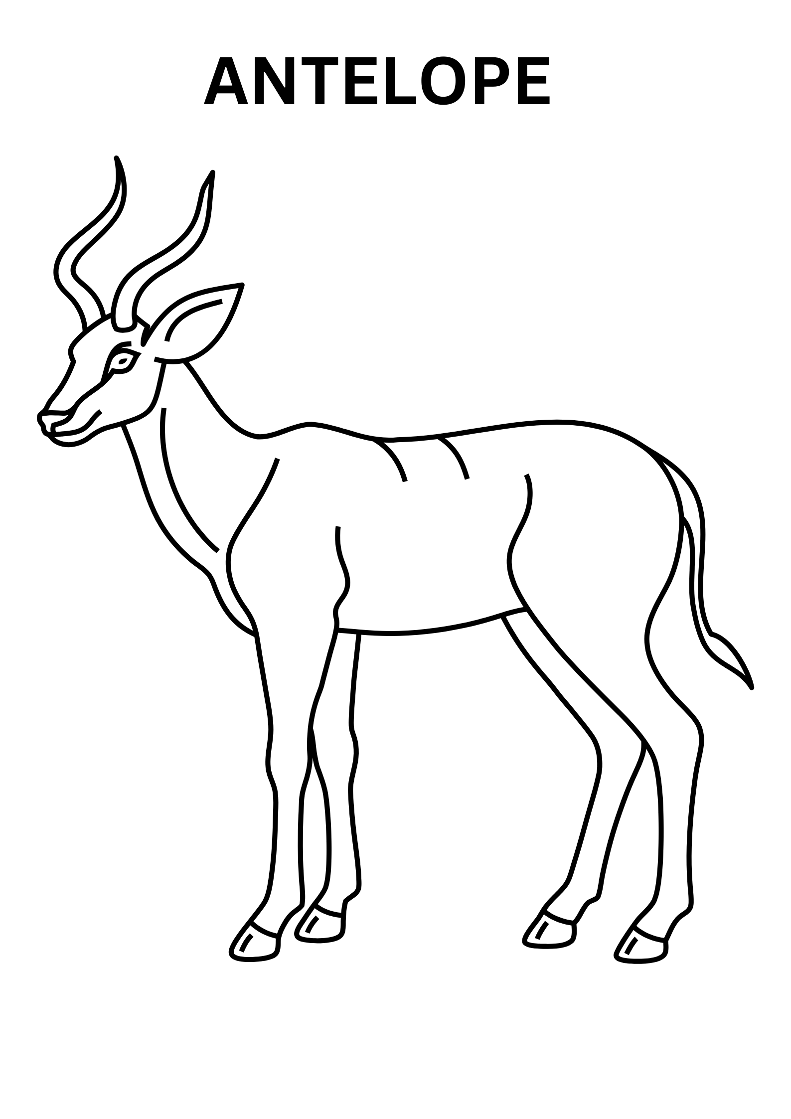 Realistic Antelope Coloring Pages