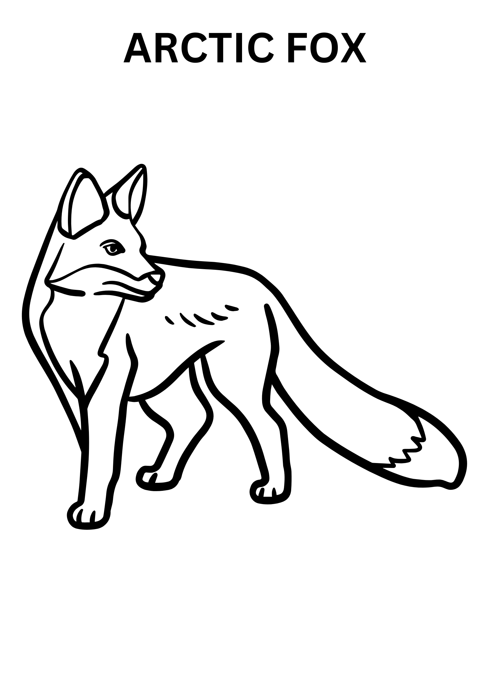 Realistic Arctic Fox Coloring Pages